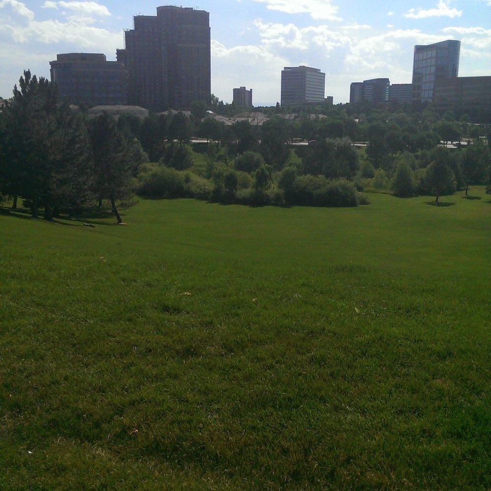 Wallace Park - Parks Near Me - Denver, Colorado Wallace Park - Parks Near Me - Denver, Colorado