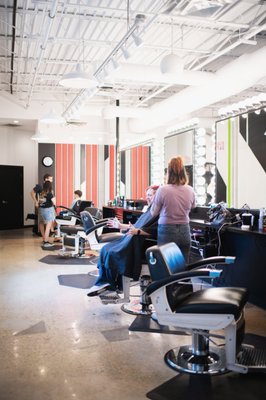 Birds Barbershop by null