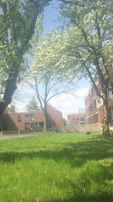 Hampshire College by null