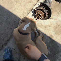Bacon's Garage