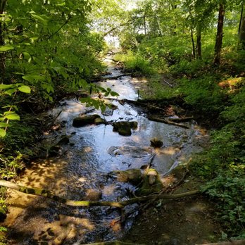 Black Rock Mountain State Park - Greasy creek - Parks Near Me - Mountain City, Georgia