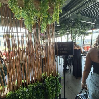 Treehouse Rooftop - Entry view from host stand - Wine Bars Near Me - Washington, DC, District of Columbia