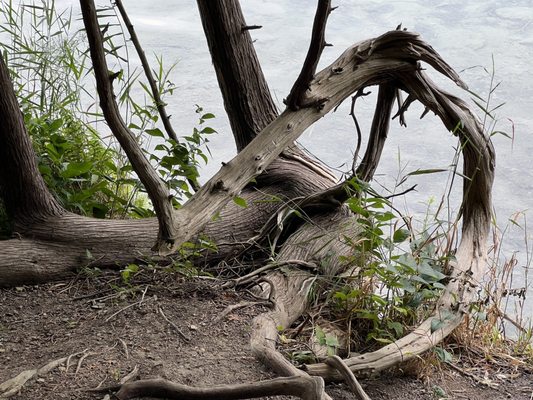 Green Lakes State Park by null