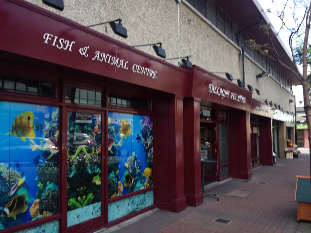 TALLAGHT PET STORE Updated October 2024 Units 3/4/5 Village Green