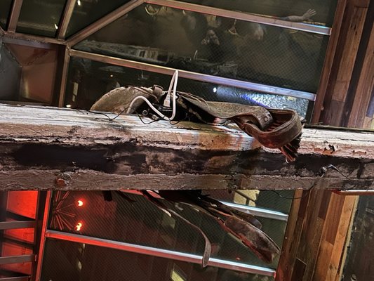 Broken Hearts by null