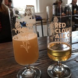 Red Clover Ale - Glasses