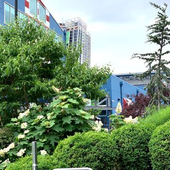 Chelsea Piers - In The Garden Of Lushness - Venues & Event Spaces Near Me - Manhattan, New York