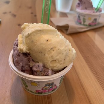 Pappalecco - Blueberry Muffin & Vanilla - Sandwiches Near Me - San Diego, California Pappalecco - Blueberry Muffin & Vanilla - Sandwiches Near Me - San Diego, California