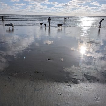 Ocean Beach Dog Beach - Beaches Near Me - San Diego, California Ocean Beach Dog Beach - Beaches Near Me - San Diego, California