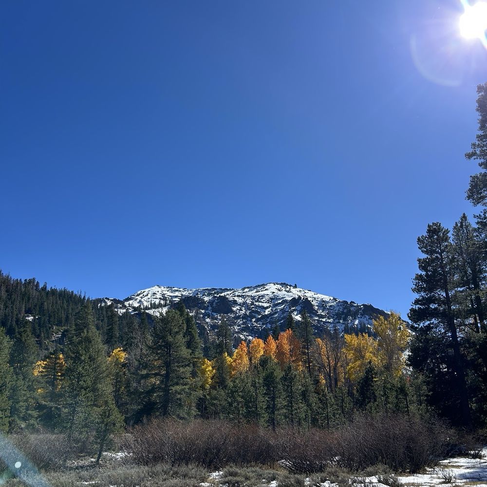 Anderson's Alpine Retreat - Beautiful fall colors in Eagle Meadows - Vacation Rentals Near Me - Cold Springs, California Anderson's Alpine Retreat - Beautiful fall colors in Eagle Meadows - Vacation Rentals Near Me - Cold Springs, California
