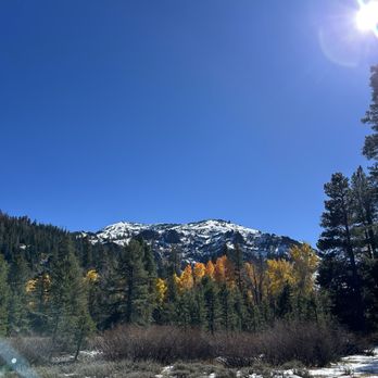 Anderson's Alpine Retreat - Beautiful fall colors in Eagle Meadows - Vacation Rentals Near Me - Cold Springs, California Anderson's Alpine Retreat - Beautiful fall colors in Eagle Meadows - Vacation Rentals Near Me - Cold Springs, California
