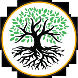 CBD Solutions