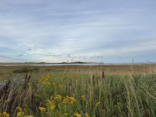 FiN Folk Food by null