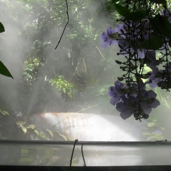 Como Park - Parks Near Me - Saint Paul, Minnesota