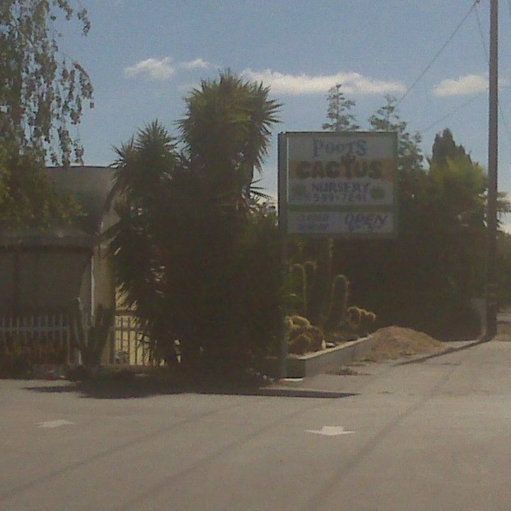 Poot's Cactus Nursery - Nurseries & Gardening Near Me - Ripon, California Poot's Cactus Nursery - Nurseries & Gardening Near Me - Ripon, California