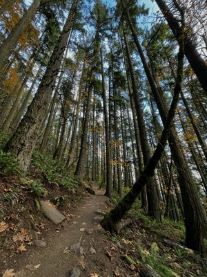 Spencer Butte Trailhead by null