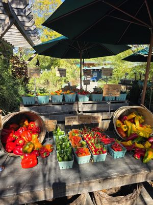 Blooming Hill Farm by null