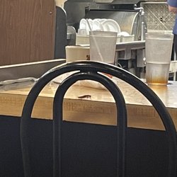 Waffle House - Exited respectfully. Gross