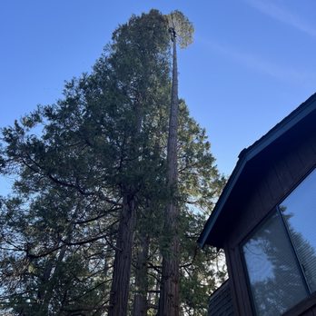 All Phase Land Clearing - Tree Services Near Me - Grass Valley, California