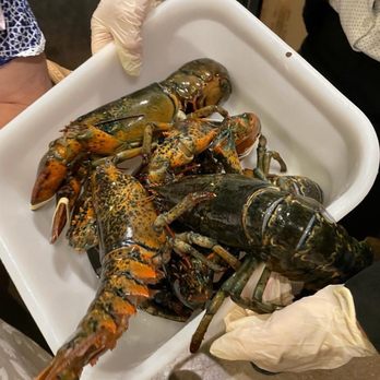 Lobster Harbour - 4 lobsters, weighing in at a touch over 10 pounds. Smaller is better - Cantonese Near Me - Scarborough, Ontario Lobster Harbour - 4 lobsters, weighing in at a touch over 10 pounds. Smaller is better - Cantonese Near Me - Scarborough, Ontario