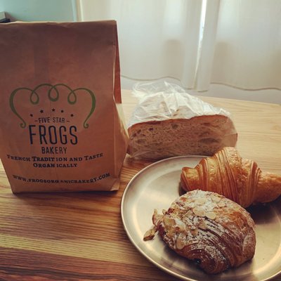 Frogs Organic Bakery by null