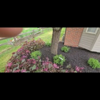 Great services Landscaping - Landscaping Near Me