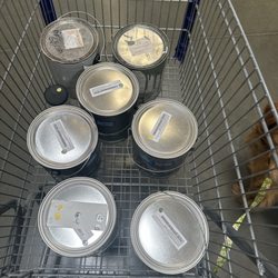 Benjamin Moore Creative Paint - Amazing experience!!