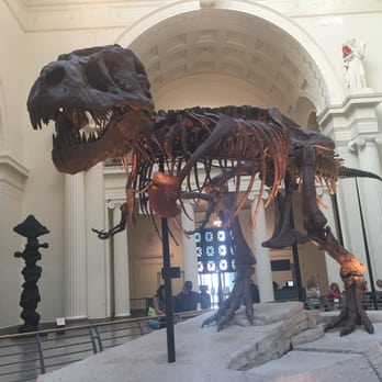 Field Museum - Museums Near Me - Chicago, Illinois Field Museum - Museums Near Me - Chicago, Illinois