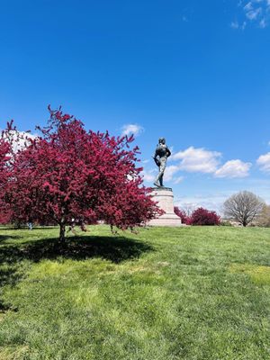 Fort McHenry National Monument and Historic Shrine by null