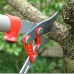 Weingartz Tree Service