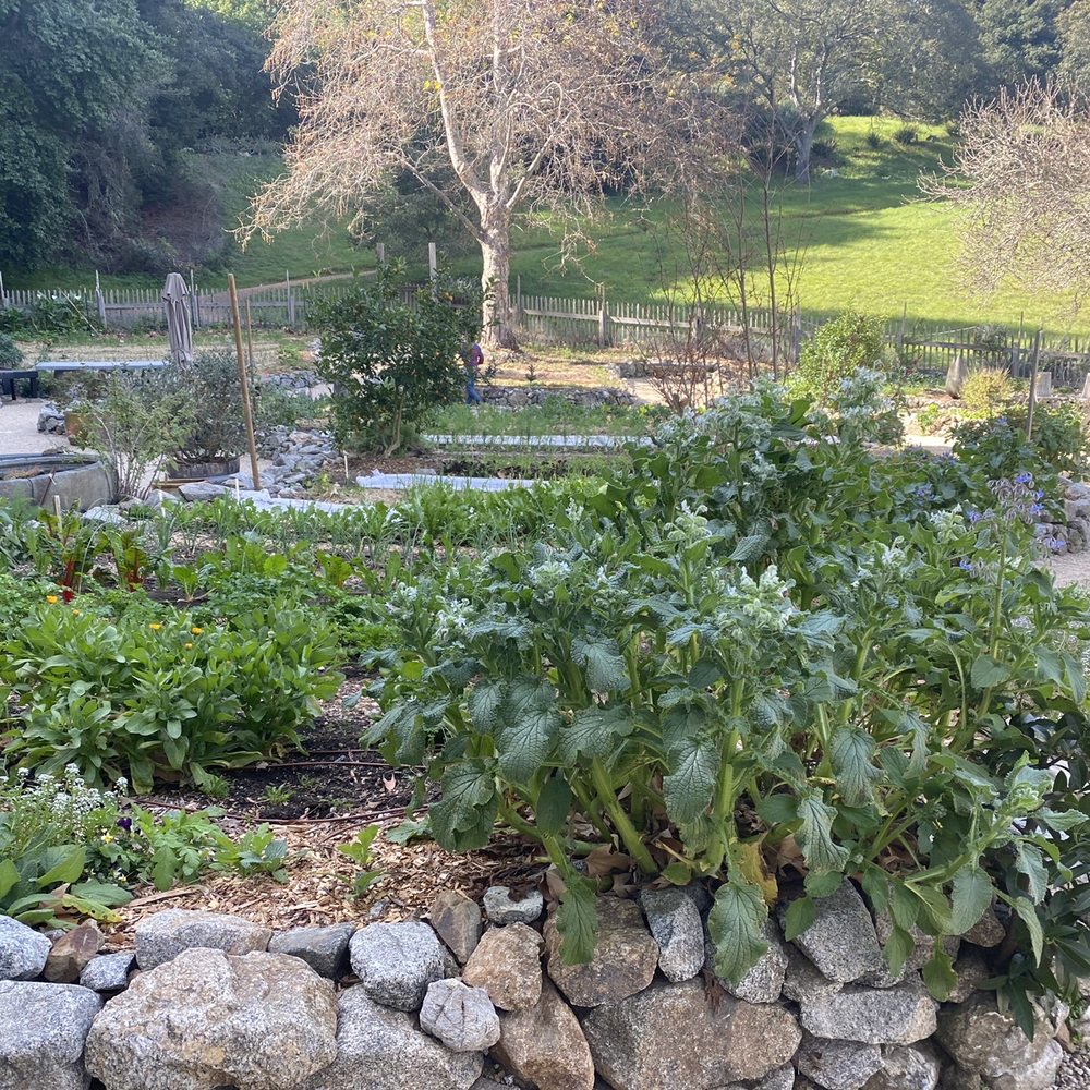 Post Ranch Inn - Thegarden - Hotels Near Me - Big Sur, California Post Ranch Inn - Thegarden - Hotels Near Me - Big Sur, California