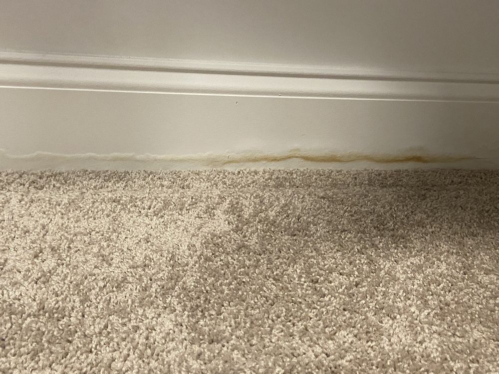 Slide of Roto-Rooter Plumbing & Water Cleanup