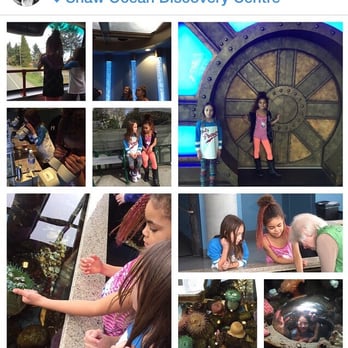 Shaw Centre for the Salish Sea - Learning through play! - Aquariums Near Me - Sidney, British Columbia