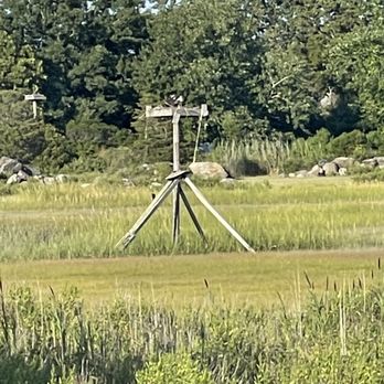 Bill's Seafood Restaurant - View of the osprey nest - Seafood Near Me - Westbrook, Connecticut Bill's Seafood Restaurant - View of the osprey nest - Seafood Near Me - Westbrook, Connecticut