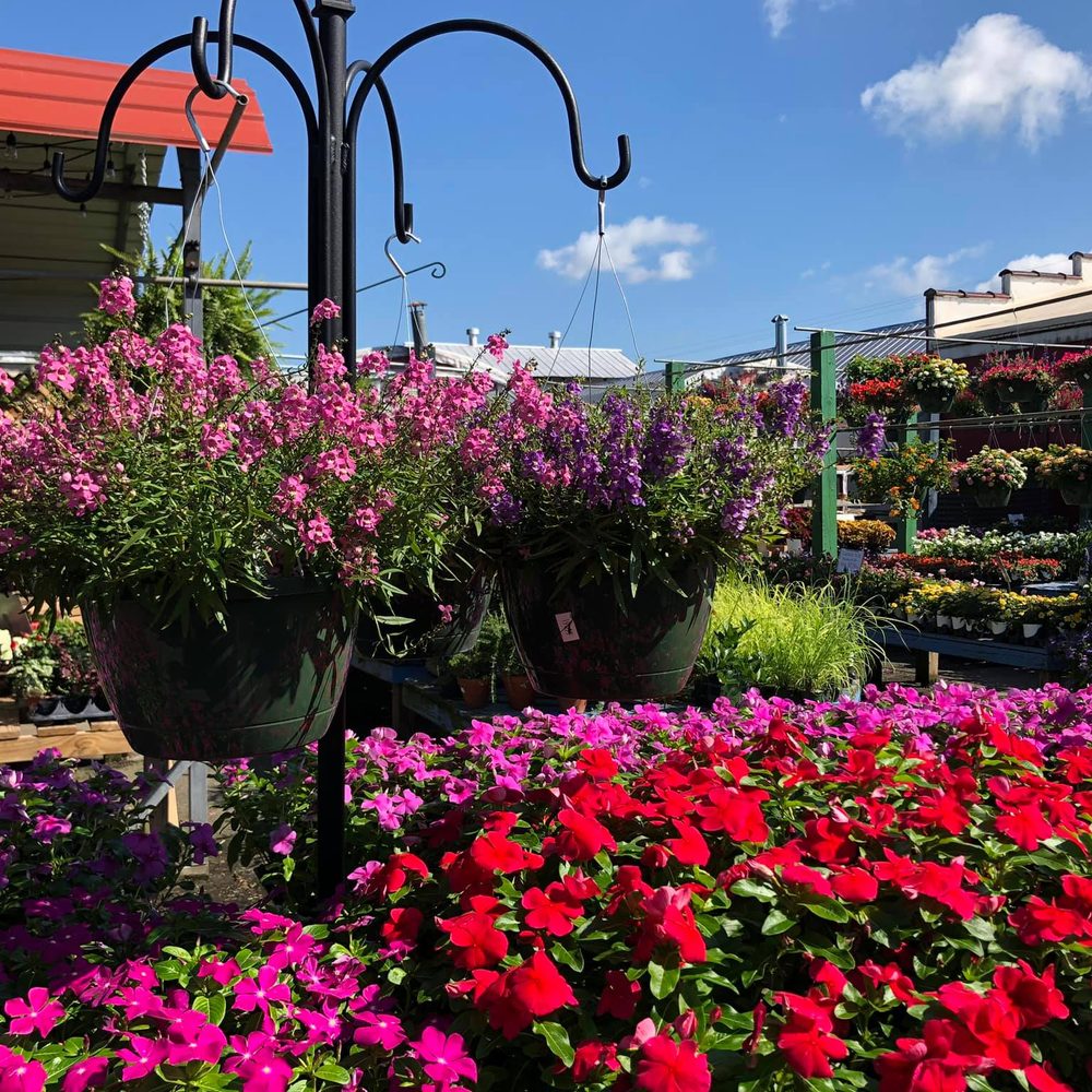 Flowers Auto Parts Nc Best Flower Site