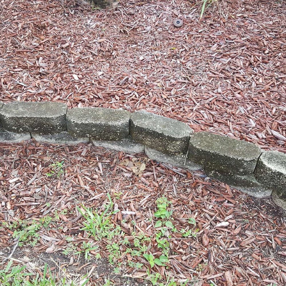 Caimanpower - Pressure Washers Near Me
