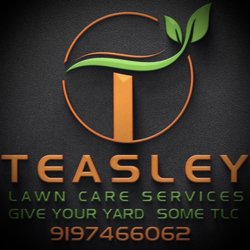 Teasley Lawn Care Services - New logo