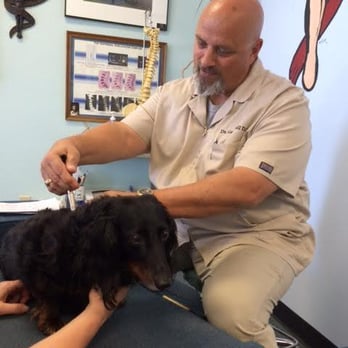 Bell Chiropractic Clinic - Dr. Bell cares deeply for his 4 legged patients! He has adjusts Cats, Dogs, Horses and even birds! - Chiropractors Near Me - Rocklin, California Bell Chiropractic Clinic - Dr. Bell cares deeply for his 4 legged patients! He has adjusts Cats, Dogs, Horses and even birds! - Chiropractors Near Me - Rocklin, California