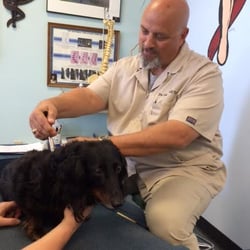 Dr. Bell cares deeply for his 4 legged patients! He has adjusts Cats, Dogs, Horses and even birds!