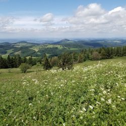 Flugplatz Wasserkuppe