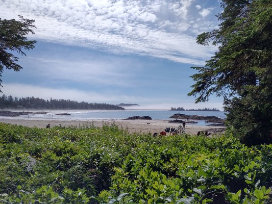 Chesterman Beach by null