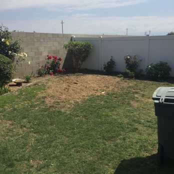 Cervantes Tree Services - After. Nicely cleaned up and all of the roots are gone! - Tree Services Near Me