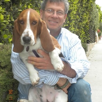 Ronald Wormser, DMD - General Dentistry Near Me - Santa Monica, California Ronald Wormser, DMD - General Dentistry Near Me - Santa Monica, California