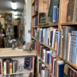 Splendor Solis Books