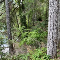 Frye Cove Park