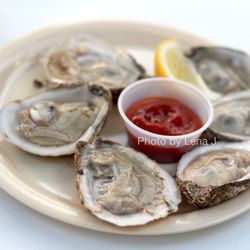 The Steam Room - Oysters ($14) - A half dozen local oysters served on the half shell with lemon and cocktail sauce