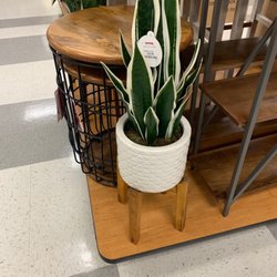 T J Maxx