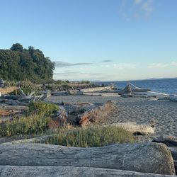 Edmonds Waterfront Festival
