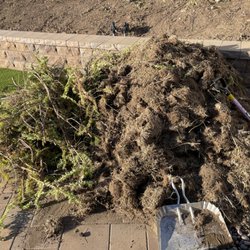 Max Junk Removal - Landscaping waste disposal