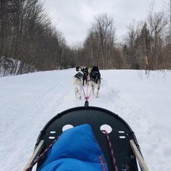 Muddy Paw Sled Dog Kennel